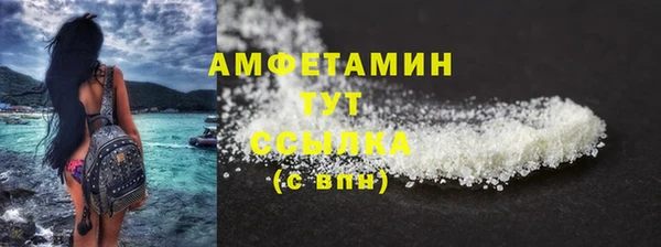 прущие крисы Новозыбков