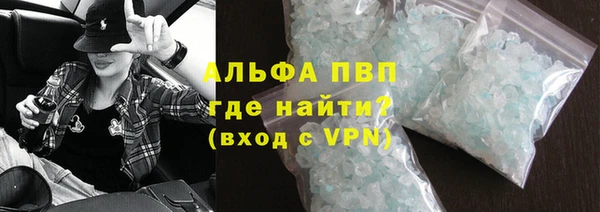 сатива Новокубанск