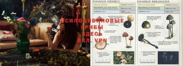 бутират Новодвинск