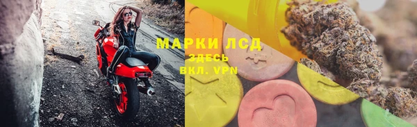 сатива Новокубанск