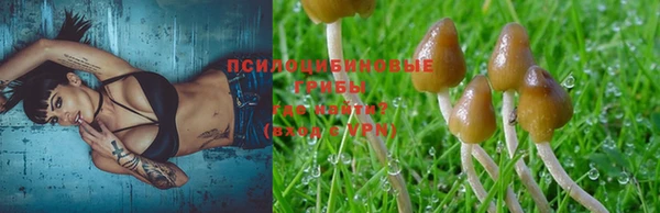 трава Нягань
