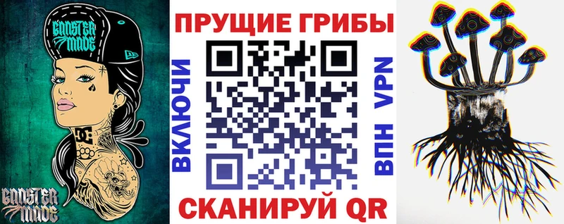 Псилоцибиновые грибы мицелий  купить наркоту  Туринск 